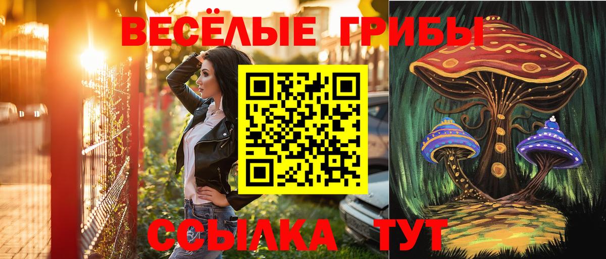 Псилоцибиновые грибы Cubensis Куйбышев